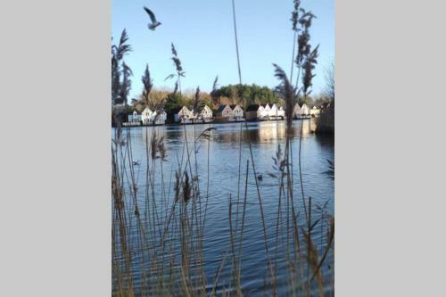 Village Belle Dune Pierre & Vacances Fort-mahon Plage