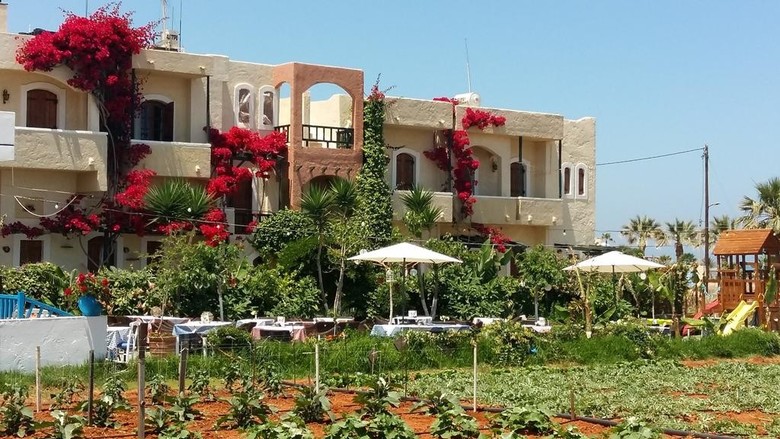 Hotel Malia Studios Apartments
