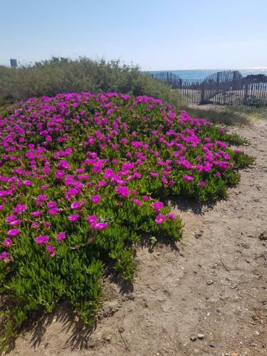 Apartamento La Rose Des Sables