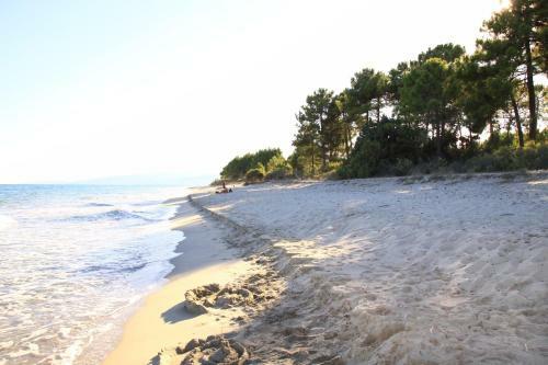 Studio Apartment On The Sea For Couples Or Families
