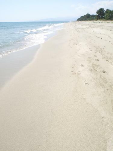 Studio Apartment On The Sea For Couples Or Families