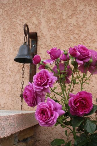 G�te Du Garde Barri�re