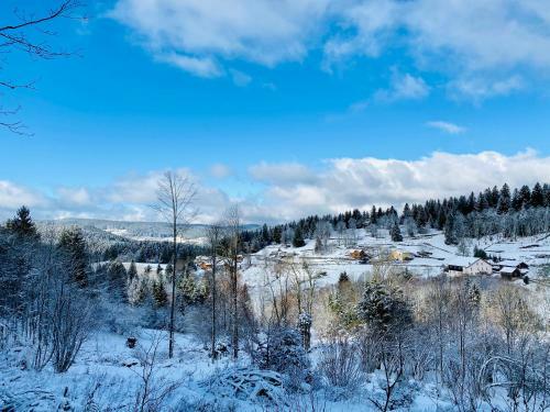 L'instant Chalet Lodge 17