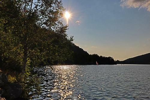 Le Batelier Du Lac