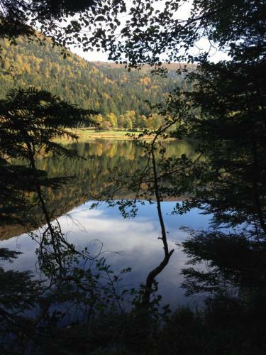 Le Batelier Du Lac