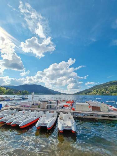 Apartamento Studio R�sidence La Mauselaine La Perle Des Vosges