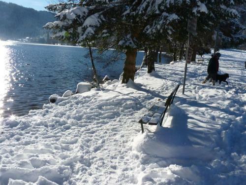 Apartamento Studio Hauteur Gerardmer