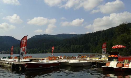 Apartamento Studio Hauteur Gerardmer