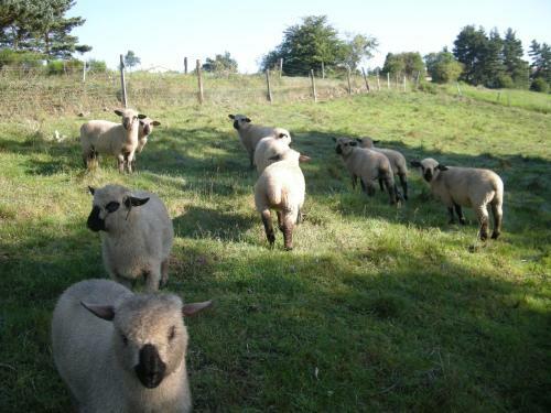 Agroturismo Ferme Auberge Briassou