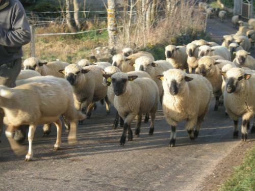 Agroturismo Ferme Auberge Briassou