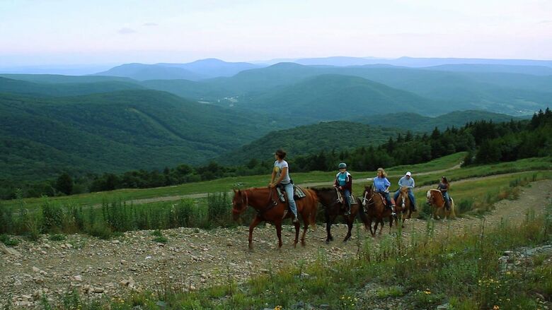 Mountain Lodge