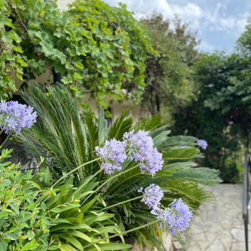 Bastide A�na Spa Et Piscine