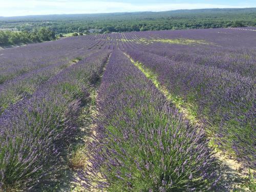 Apartamento Gites Les Oiseaux Voyageurs "le Douny"