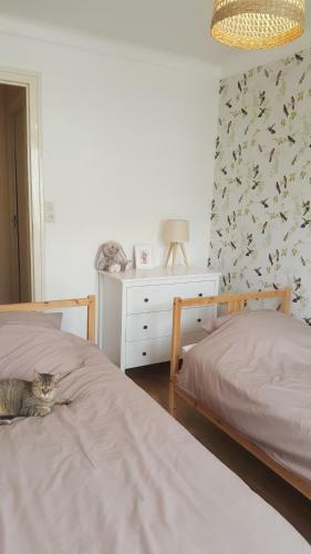 Bed & Breakfast Chambres D'h�tes Au Centre de Gu�men�-sur-scorff