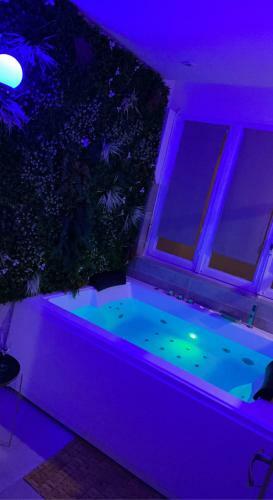 Apartamento L?extasia Appartement Avec Jacuzzi Balneo Double