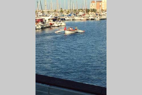 Apartamento Location Gruissan, Studio, Piscine, Parking Priv�