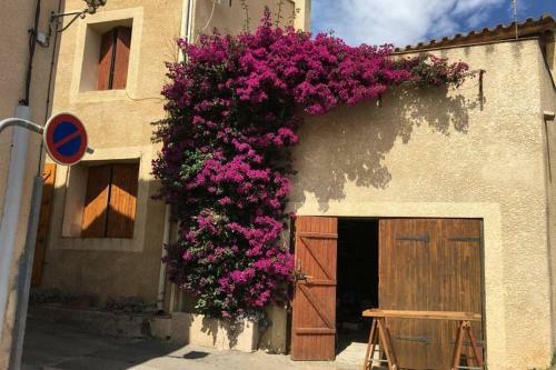 Apartamento Location Gruissan, Studio, Piscine, Parking Priv�