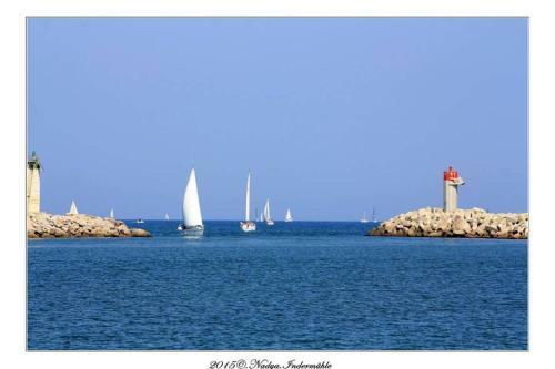 Apartamento Location Gruissan, Studio, Piscine, Parking Priv�
