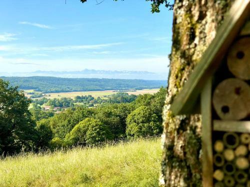 Le Castelbosc Chambre Hote