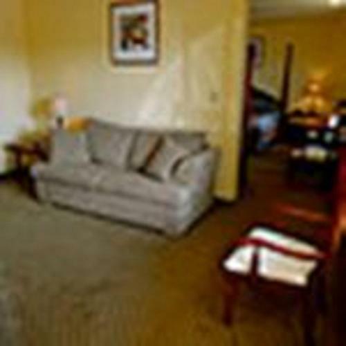 The Whispering Pines Motel- Whitestone