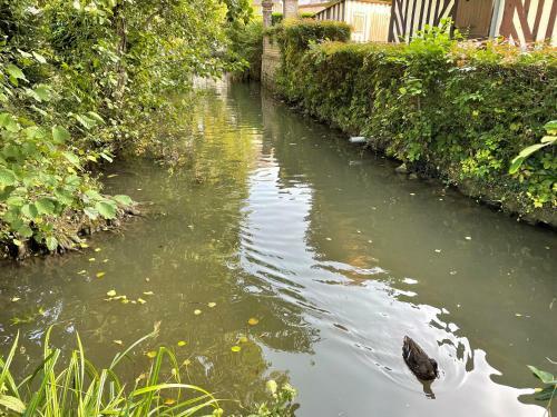 Apartamento Houlgate Appartement La Briarde