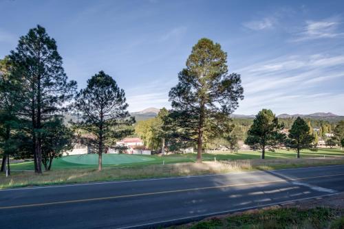 Lodge Pine Cabin, 2 Bedrooms, Fireplace, Midtown, Sleeps 6