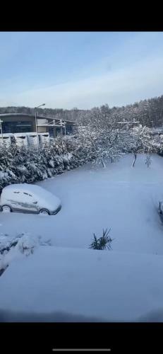 Apartamentos Au Paradis D?alsace 55 M2 Nature & Relax