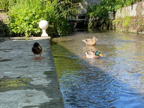 Le Clos De L? Abreuvoir