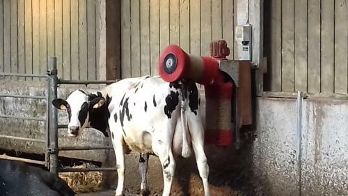Bed & Breakfast Ferme Du Rupalley