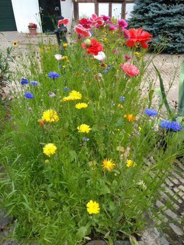 Bed & Breakfast La Chambre Aux Hirondelles