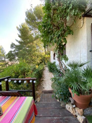 Apartamento Studio Grotte Des F�es