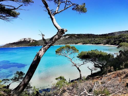 Apartamento Le Rivage Appartement Vue Mer