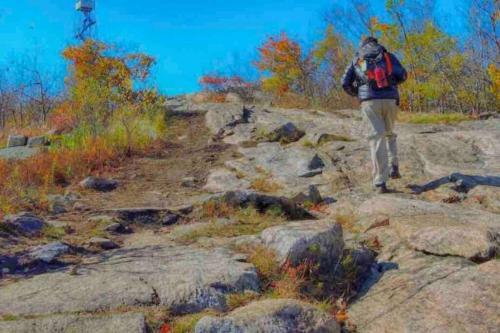 Apartment W Jacuzzi Tub . Across Madam Brett Park