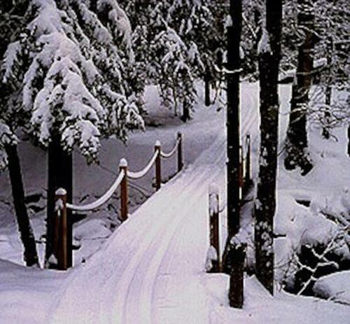 Colgate Lake Lodge
