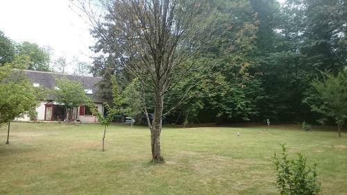 Bed & Breakfast Chambres de Month�ard