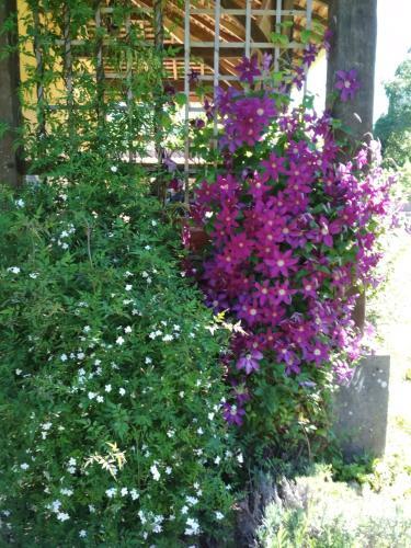 Bed & Breakfast Falgueret