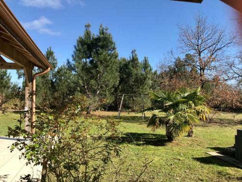 Maison Avec Piscine Au C?ur de La For�t