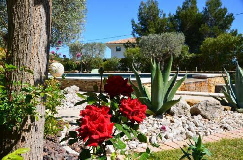 Apartamento Appartements Du Jas de Clare