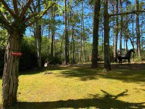 Le Petit Poulailler Au Beau Milieu Des Pins