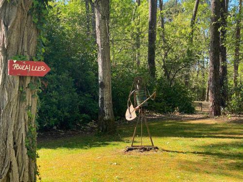 Le Petit Poulailler Au Beau Milieu Des Pins