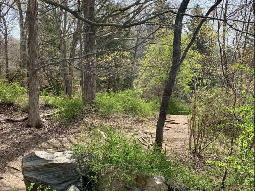 Tentrr State Park Site - Harriman State Park Hidden Nook