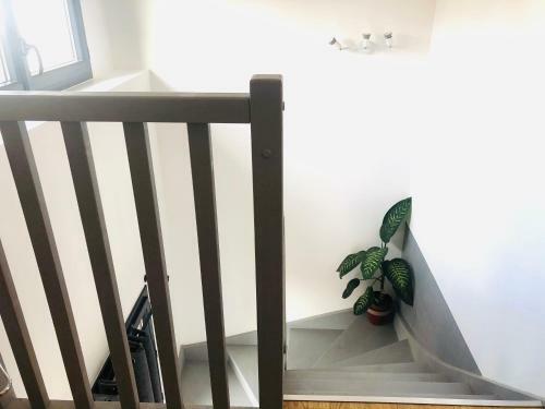 Apartamento Clos Des Aigrettes, La Cotini�re