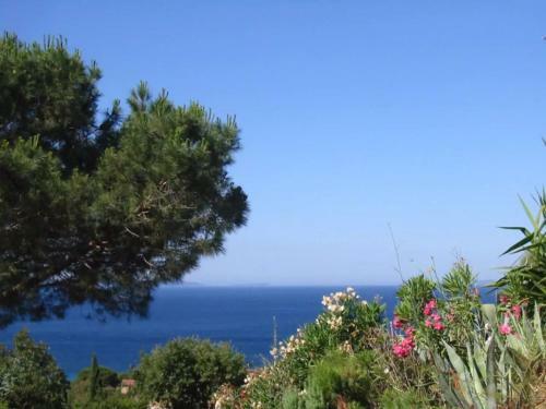 Apartamento Pampelonne Appartment