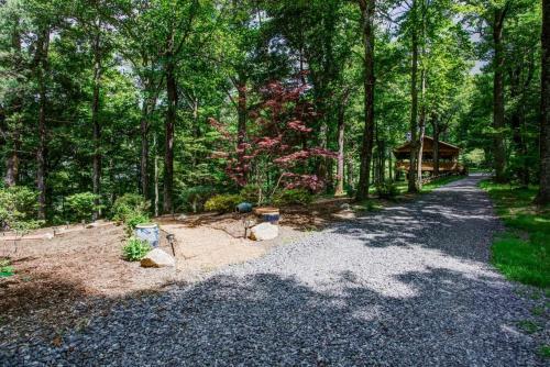 Lodge The Poplars At Bearwallow Mountain