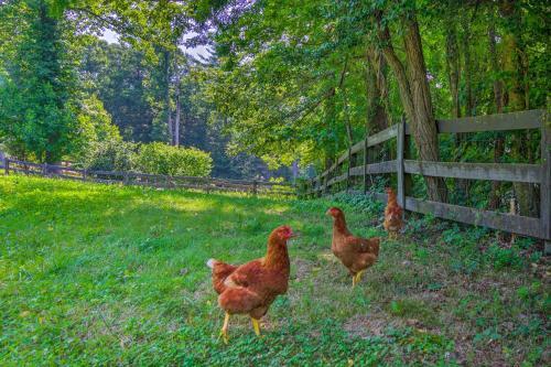 Apartamento Rustic Farm Stay In A Hendersonville Studio!