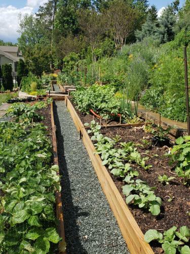 Spacious Contemporary Cottage Home (Queen Bdrm)