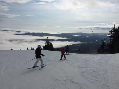 Aparthotel Mountain Lodge At Okemo