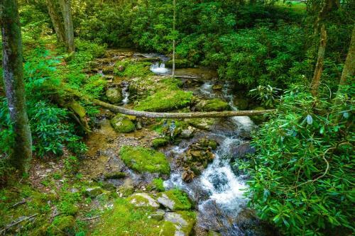 Valley Creek Retreat