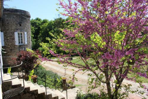 Bed & Breakfast Ancien Haras de La Tour
