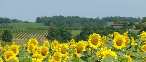 Bed & Breakfast Ancien Haras de La Tour